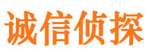 维扬侦探公司